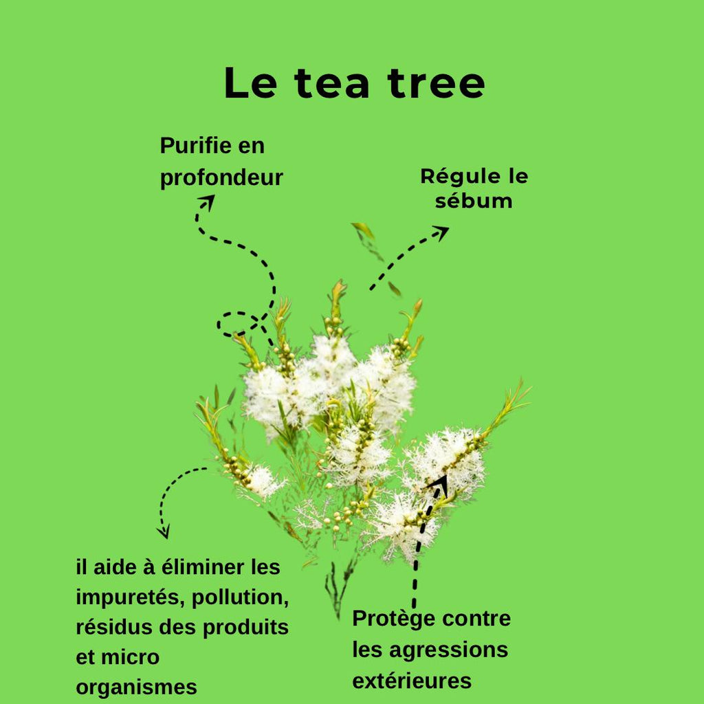 Renaissance Shampoo for balanced scalp and softness 450 ml